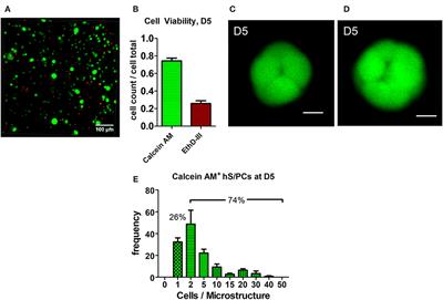 Dynamic Assembly of Human Salivary Stem/Progenitor Microstructures Requires Coordinated α1β1 Integrin-Mediated Motility